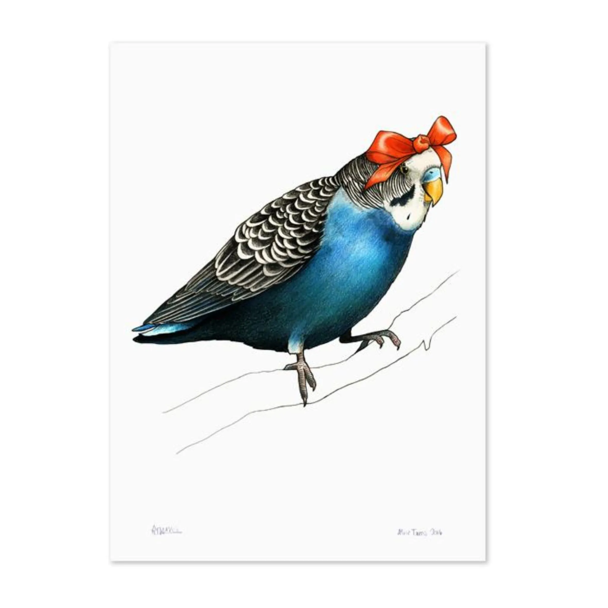 Birds In Hats Print - Budgie in a Bow A4*